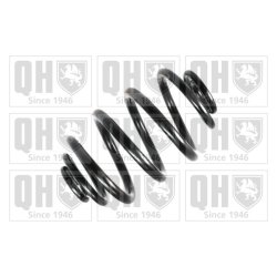 Suspension Spring QUINTON HAZELL QCS6112 OE Ref 33539066882 QUINTON HAZELL