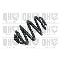 Suspension Spring QUINTON HAZELL QCS6113 OE Ref 33532229491