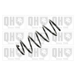 Suspension Spring QUINTON HAZELL QCS6120 OE Ref 6N0411105AA QUINTON HAZELL