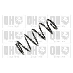 Suspension Spring QUINTON HAZELL QCS6123 OE Ref 312859 QUINTON HAZELL