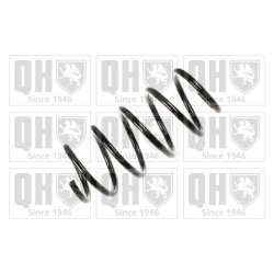 Suspension Spring QUINTON HAZELL QCS6134 OE Ref 9196164