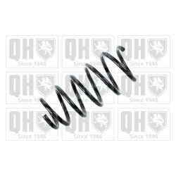Suspension Spring QUINTON HAZELL QCS6137 OE Ref 312367