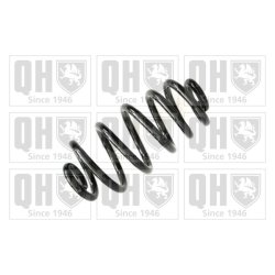 Suspension Spring QUINTON HAZELL QCS6140 OE Ref 8E0511115CS QUINTON HAZELL