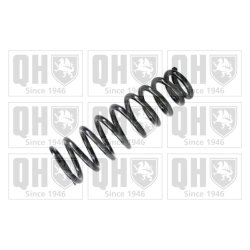 Suspension Spring QUINTON HAZELL QCS6143 OE Ref GAM734011 QUINTON HAZELL