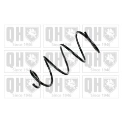 Suspension Spring QUINTON HAZELL QCS6153 OE Ref 50707788 QUINTON HAZELL