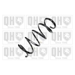 Suspension Spring QUINTON HAZELL QCS6163 OE Ref 51833499