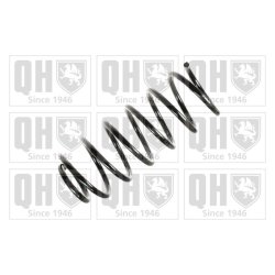 Suspension Spring QUINTON HAZELL QCS6169 OE Ref 1L0411105B951 QUINTON HAZELL