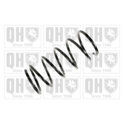 Suspension Spring QUINTON HAZELL QCS6174 OE Ref 5002N2