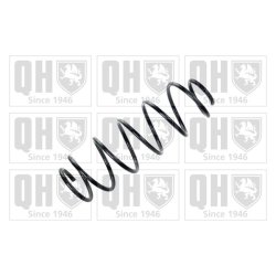 Suspension Spring QUINTON HAZELL QCS6184 OE Ref 4513210104