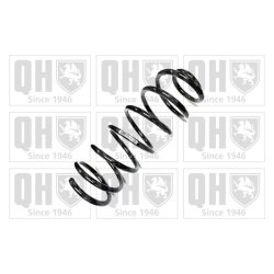 Suspension Spring QUINTON HAZELL QCS6185 OE Ref 553301C211DS