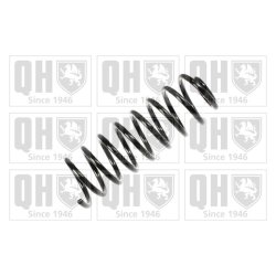 Suspension Spring QUINTON HAZELL QCS6187 OE Ref 191511115A QUINTON HAZELL