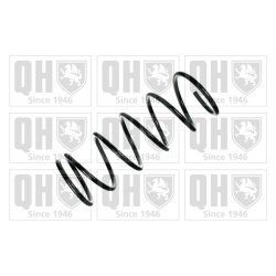Suspension Spring QUINTON HAZELL QCS6189 OE Ref 540100M002 QUINTON HAZELL