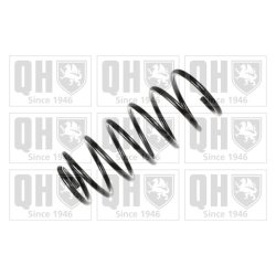 Suspension Spring QUINTON HAZELL QCS6199 OE Ref 191411105M QUINTON HAZELL
