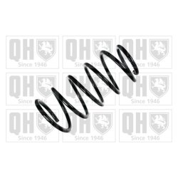 Suspension Spring QUINTON HAZELL QCS6205 OE Ref 312045