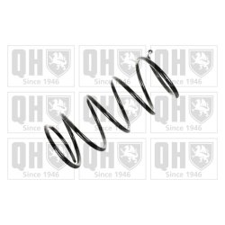 Suspension Spring QUINTON HAZELL QCS6208 OE Ref 308064260