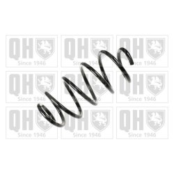 Suspension Spring QUINTON HAZELL QCS6209 OE Ref 1K0411105BQ QUINTON HAZELL