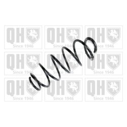 Suspension Spring QUINTON HAZELL QCS6210 OE Ref 5002SL