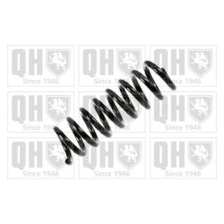 Suspension Spring QUINTON HAZELL QCS6218 OE Ref 2103242204