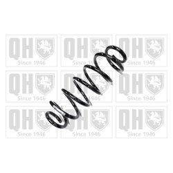 Suspension Spring QUINTON HAZELL QCS6220 OE Ref 3C0511115M