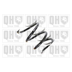 Suspension Spring QUINTON HAZELL QCS6237 OE Ref 13382859