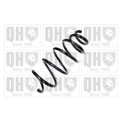 Suspension Spring QUINTON HAZELL QCS6248 OE Ref 13333965 QUINTON HAZELL