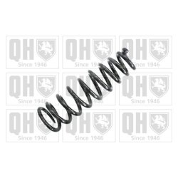 Suspension Spring QUINTON HAZELL QCS6273 OE Ref NH4231011A