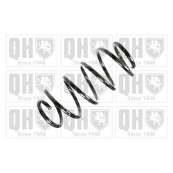 Suspension Spring QUINTON HAZELL QCS6293 OE Ref 312848