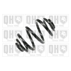 Suspension Spring QUINTON HAZELL QCS6296 OE Ref 33531094739 QUINTON HAZELL