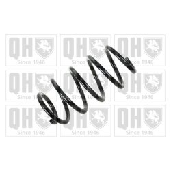 Suspension Spring QUINTON HAZELL QCS6317 OE Ref 1K0411105EC QUINTON HAZELL