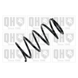 Suspension Spring QUINTON HAZELL QCS6323 OE Ref 4131159J60