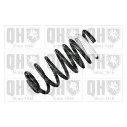 Suspension Spring QUINTON HAZELL QCS6381 OE Ref 60630301