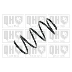 Suspension Spring QUINTON HAZELL QCS6386 OE Ref 31336761213