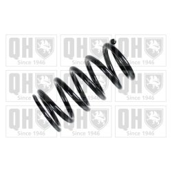 Suspension Spring QUINTON HAZELL QCS6409 OE Ref MR594435 QUINTON HAZELL