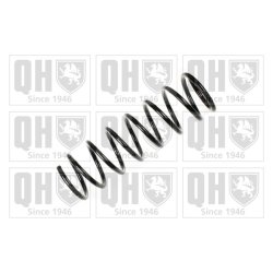 Suspension Spring QUINTON HAZELL QCS6446 OE Ref DC2028011