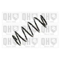 Suspension Spring QUINTON HAZELL QCS6465 OE Ref 312835