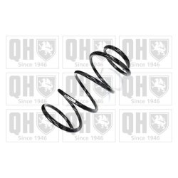 Suspension Spring QUINTON HAZELL QCS6466 OE Ref 546302L130