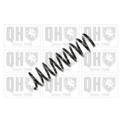 Suspension Spring QUINTON HAZELL QCS6480 OE Ref 2023212204