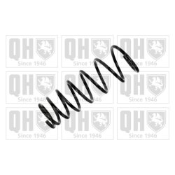 Suspension Spring QUINTON HAZELL QCS6499 OE Ref 4813197870000