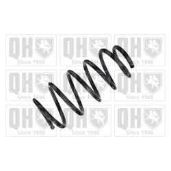 Suspension Spring QUINTON HAZELL QCS6502 OE Ref 24466406