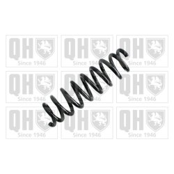 Suspension Spring QUINTON HAZELL QCS6503 OE Ref 33536772439 QUINTON HAZELL