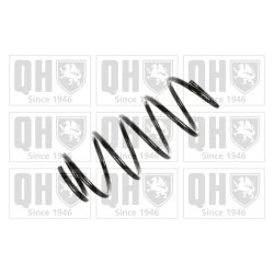 Suspension Spring QUINTON HAZELL QCS6508 OE Ref 1516826