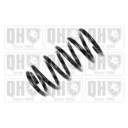Suspension Spring QUINTON HAZELL QCS6530 OE Ref 4131160B51