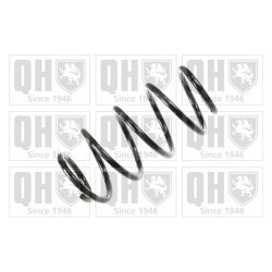 Suspension Spring QUINTON HAZELL QCS6531 OE Ref 312852 QUINTON HAZELL