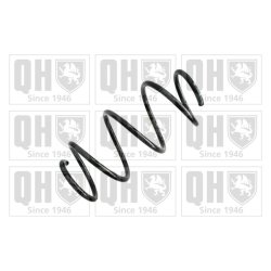 Suspension Spring QUINTON HAZELL QCS6537 OE Ref 31336851713