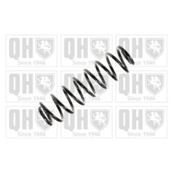 Suspension Spring QUINTON HAZELL QCS6538 OE Ref 6Q0511115M QUINTON HAZELL