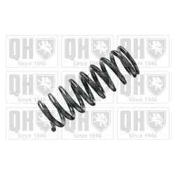 Suspension Spring QUINTON HAZELL QCS6541 OE Ref 2013243904 QUINTON HAZELL