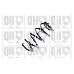 Suspension Spring QUINTON HAZELL QCS6545 OE Ref 32016019 QUINTON HAZELL
