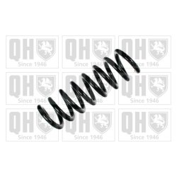 Suspension Spring QUINTON HAZELL QCS6556 OE Ref 2113240604 QUINTON HAZELL