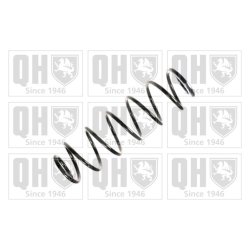 Suspension Spring QUINTON HAZELL QCS6562 OE Ref 7700416118 QUINTON HAZELL