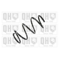 Suspension Spring QUINTON HAZELL QCS6563 OE Ref 51856840